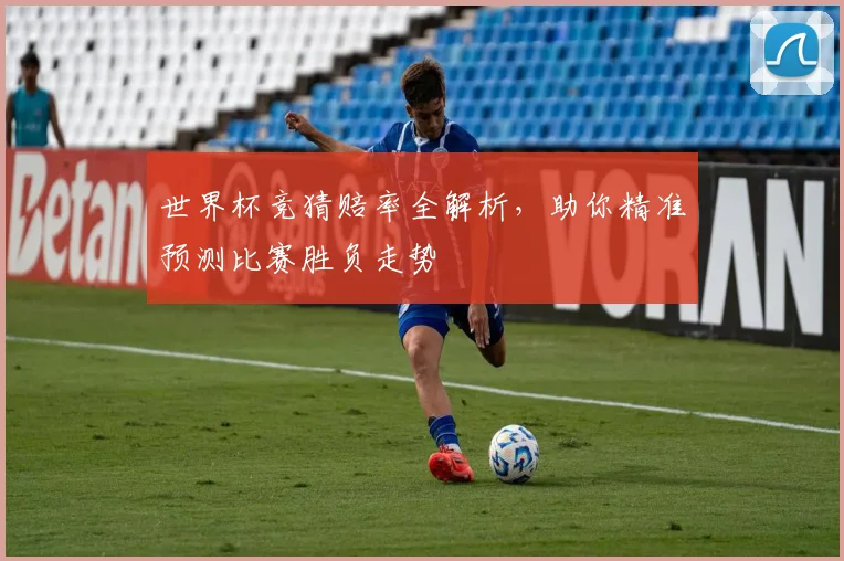 世界杯竞猜赔率全解析，助你精准预测比赛胜负走势