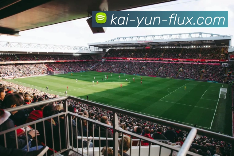 开云平台展示图