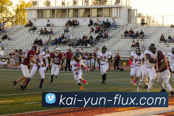 开云APP安全吗 用户隐私保护和数据安全分析