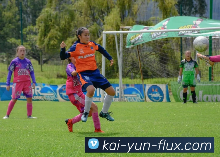 开云官网全站App